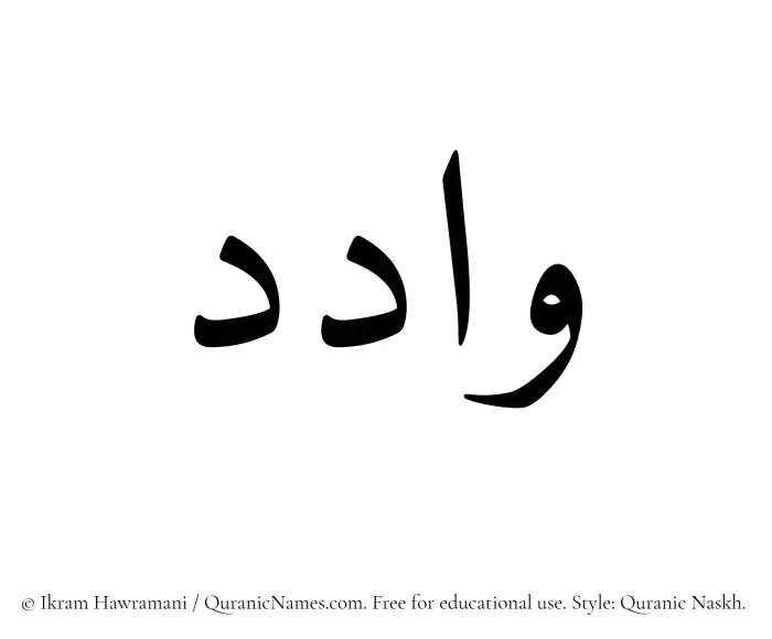 The Muslim name Wadid written in Quranic naskh script