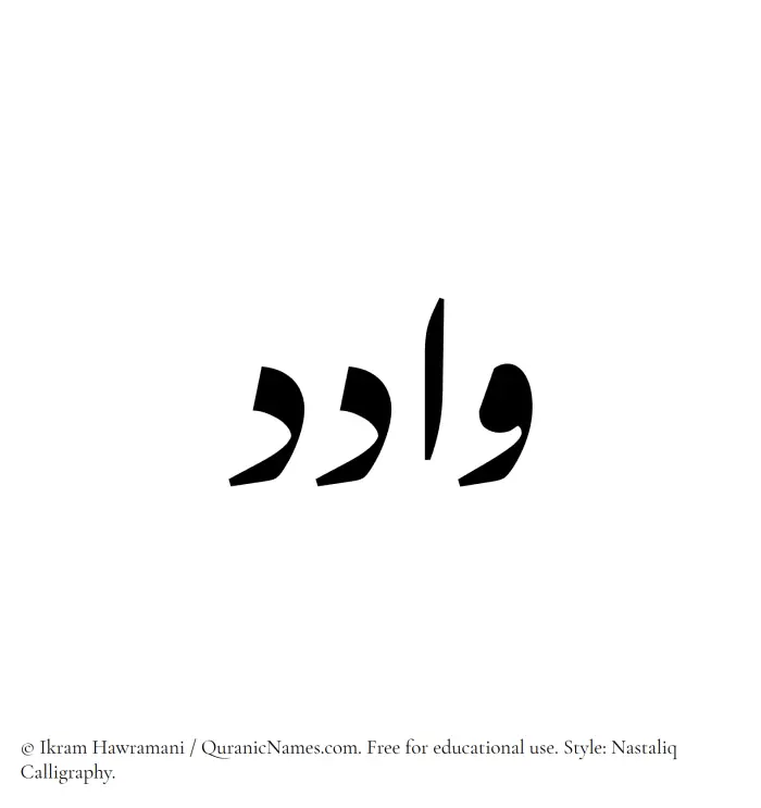 The Muslim name word Wadid written in Nastaliq calligraphic script