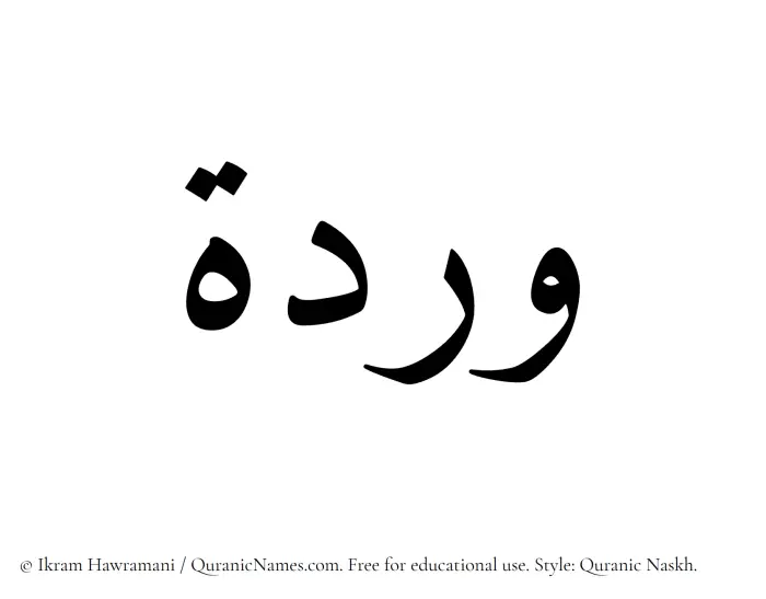 The Muslim name Wardah written in Quranic naskh script