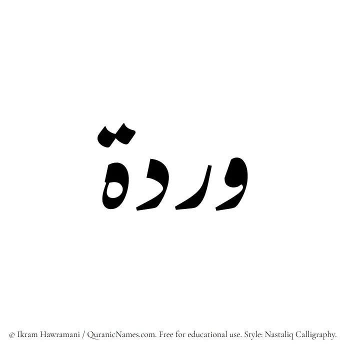 The Muslim name word Wardah written in Nastaliq calligraphic script