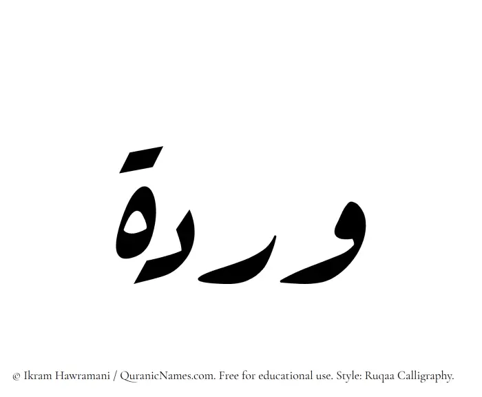 The Muslim name Wardah written in Ruqaa calligraphic script