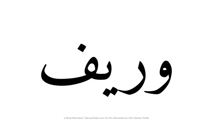 The Muslim name Wareef written in Quranic naskh script