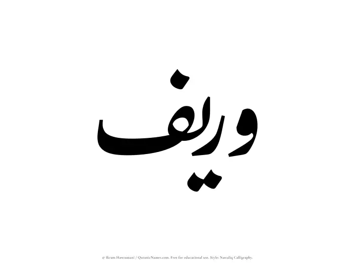 The Muslim name word Wareef written in Nastaliq calligraphic script