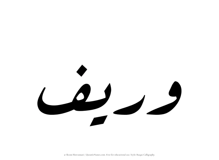 The Muslim name Wareef written in Ruqaa calligraphic script