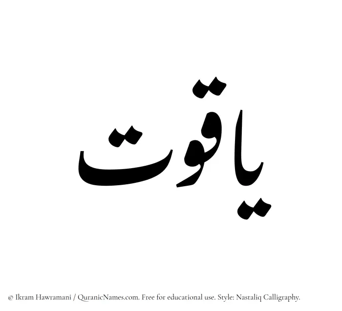 The Muslim name word Yaqoot written in Nastaliq calligraphic script