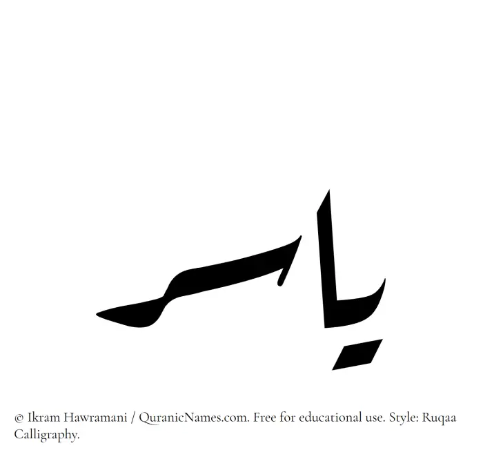 The Muslim name Yasir written in Ruqaa calligraphic script