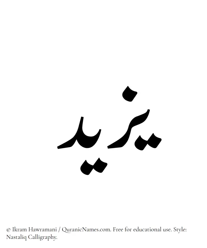 The Muslim name word Yazeed written in Nastaliq calligraphic script