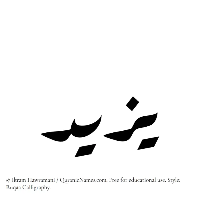 The Muslim name Yazeed written in Ruqaa calligraphic script