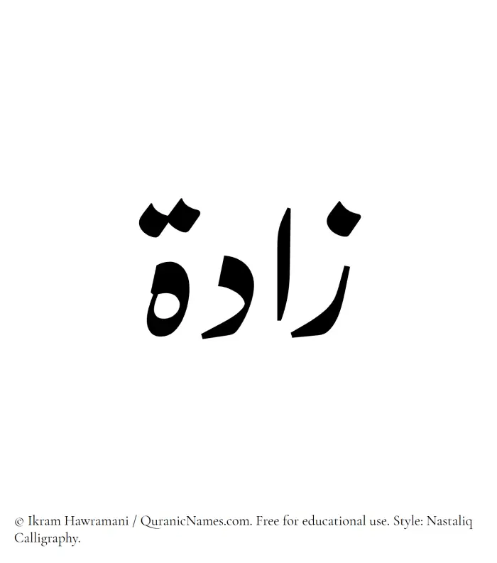 The Muslim name word Zaada written in Nastaliq calligraphic script
