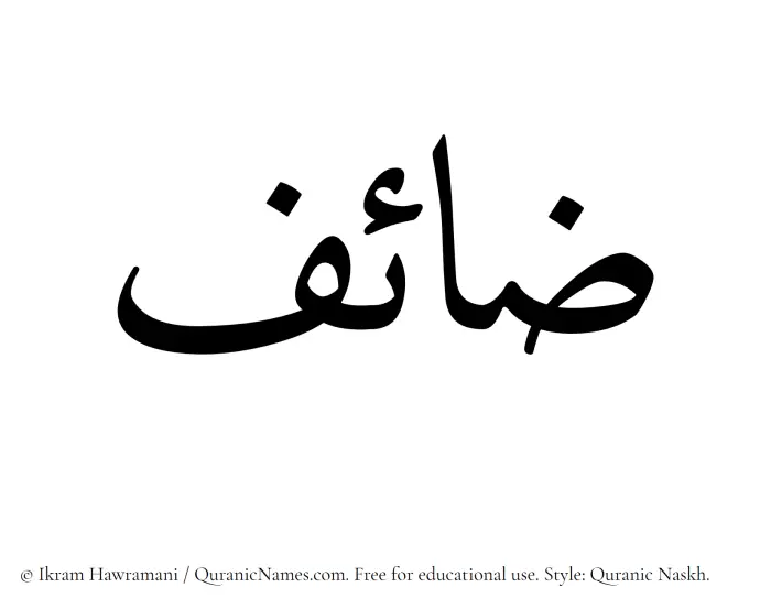 The Muslim name Zaaef written in Quranic naskh script