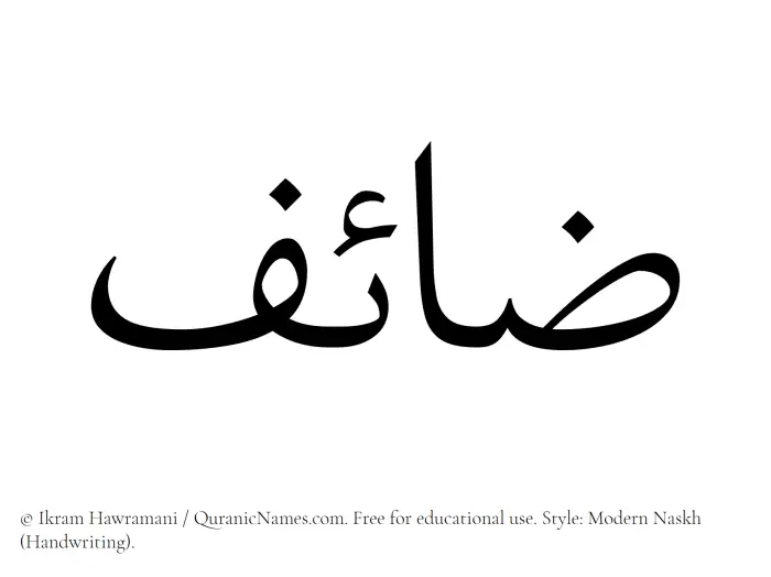 The Muslim name Zaaef written in naskh script