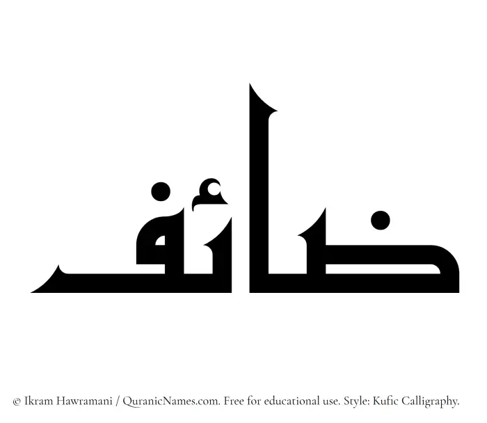 The Muslim name Zaaef written in Kufi/Kufic calligraphic script