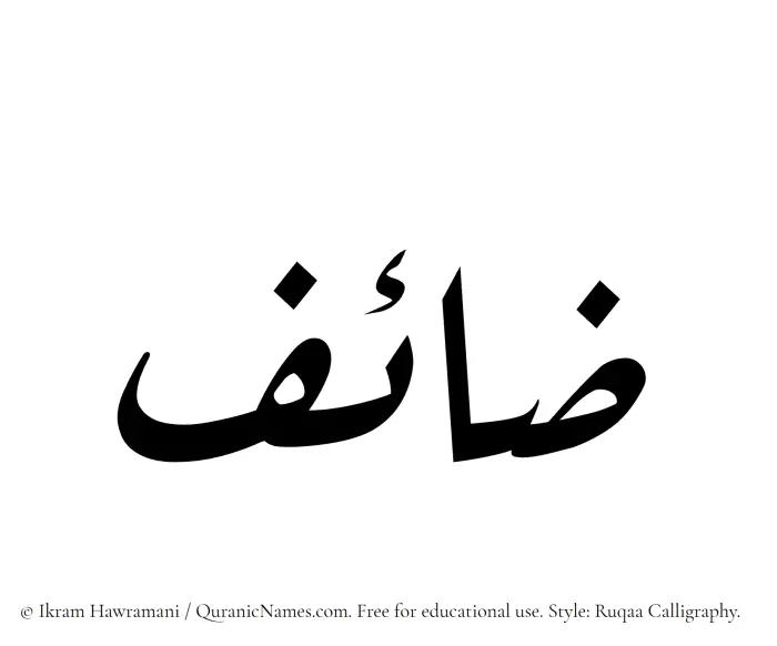 The Muslim name Zaaef written in Ruqaa calligraphic script