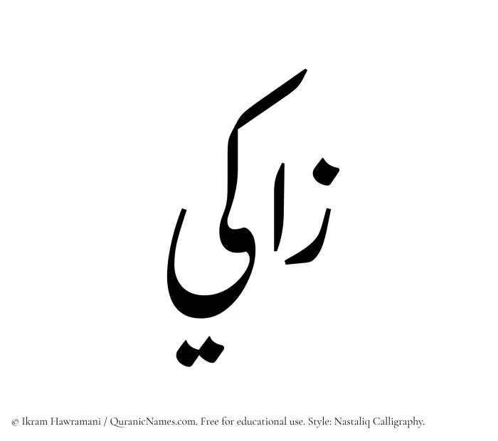 The Muslim name word Zaaki written in Nastaliq calligraphic script