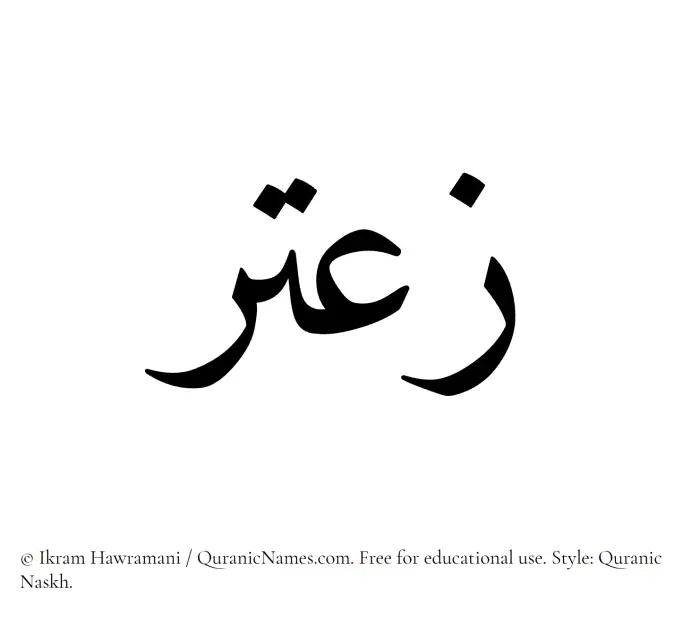 The Muslim name Zaatar written in Quranic naskh script