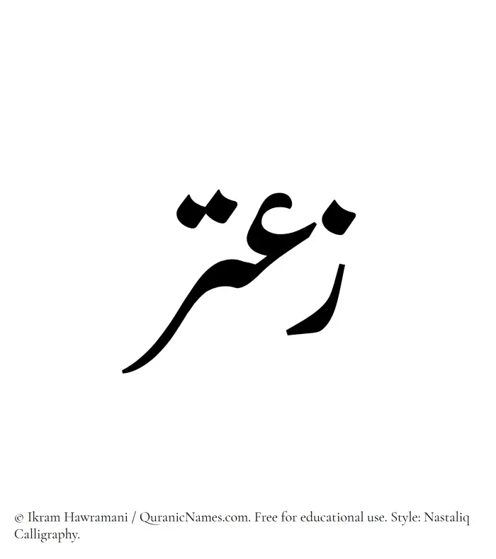 The Muslim name word Zaatar written in Nastaliq calligraphic script