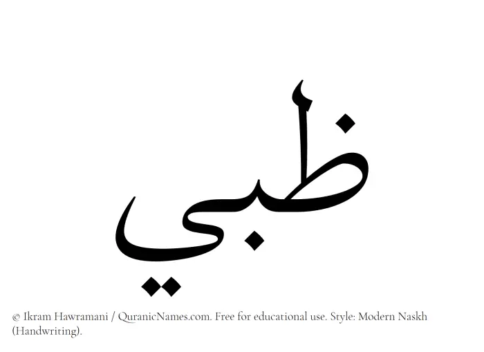 The Muslim name Zabi written in naskh script