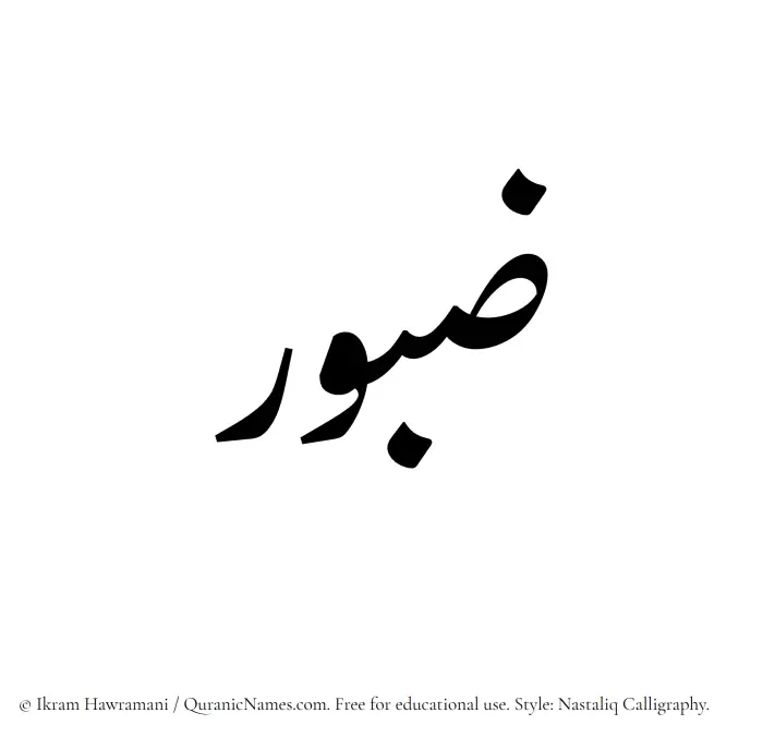 The Muslim name word Zaboor written in Nastaliq calligraphic script