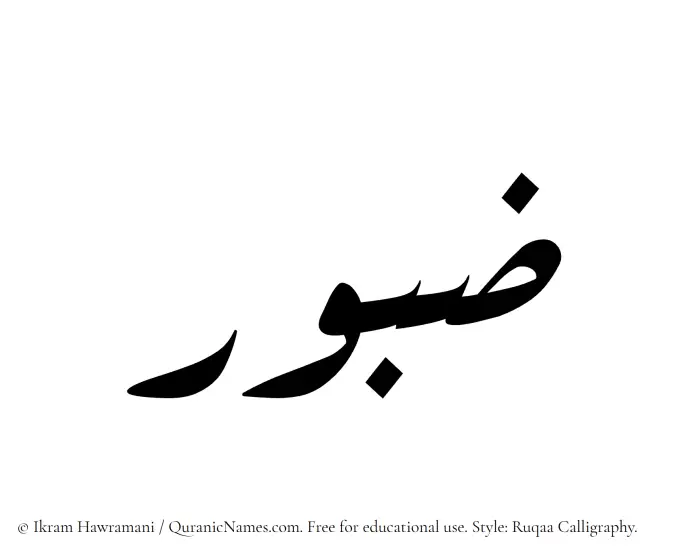 The Muslim name Zaboor written in Ruqaa calligraphic script