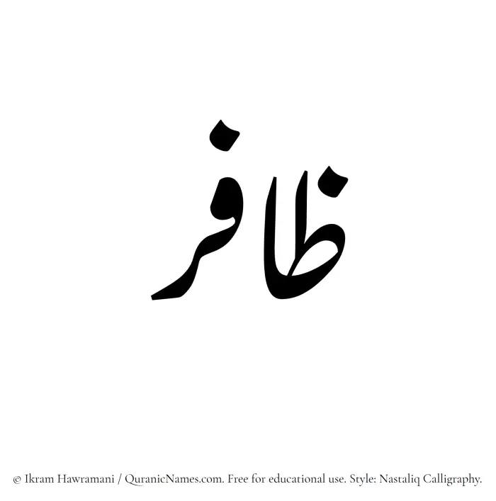 The Muslim name word Zafir written in Nastaliq calligraphic script