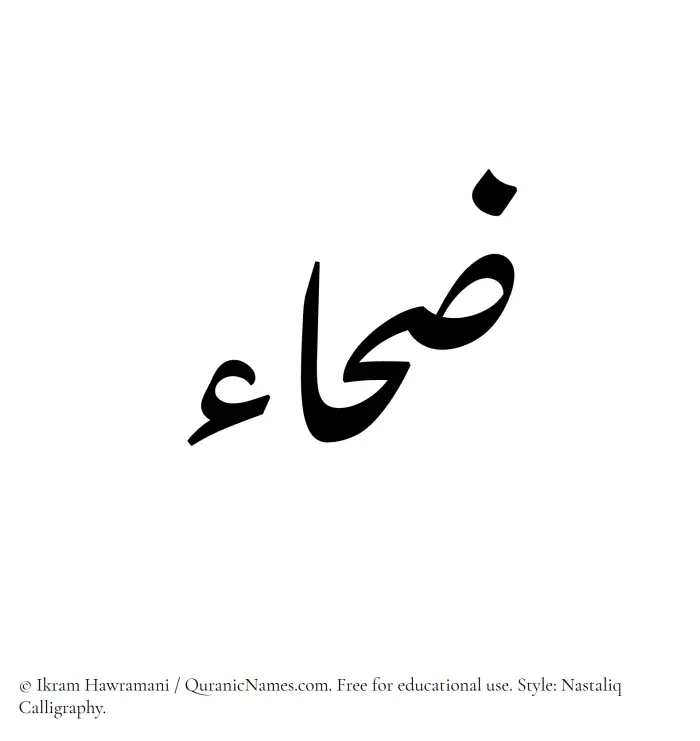 The Muslim name word Zahaa written in Nastaliq calligraphic script