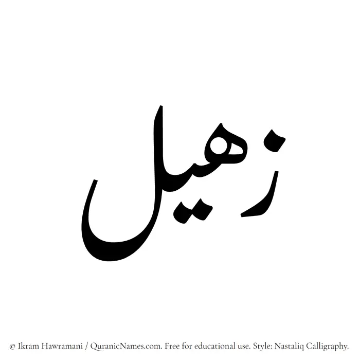 The Muslim name word Zaheel written in Nastaliq calligraphic script