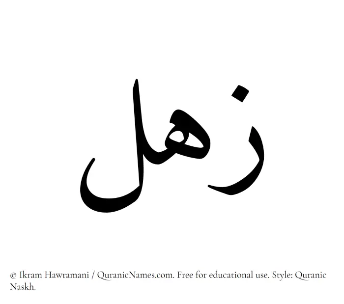The Muslim name Zahl written in Quranic naskh script