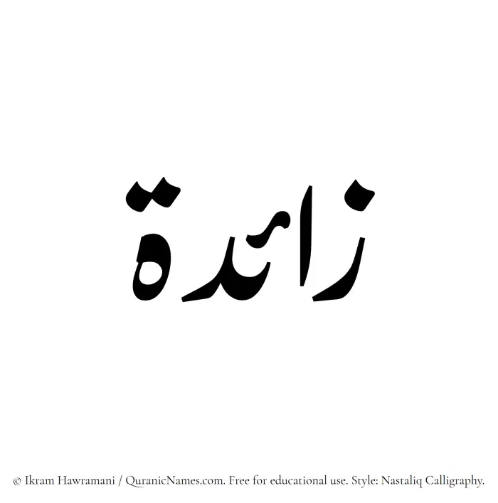 The Muslim name word Zaida written in Nastaliq calligraphic script