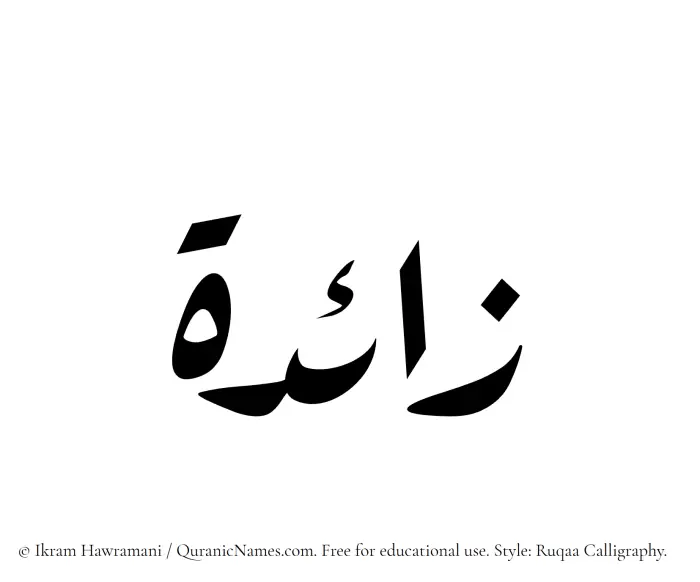 The Muslim name Zaida written in Ruqaa calligraphic script