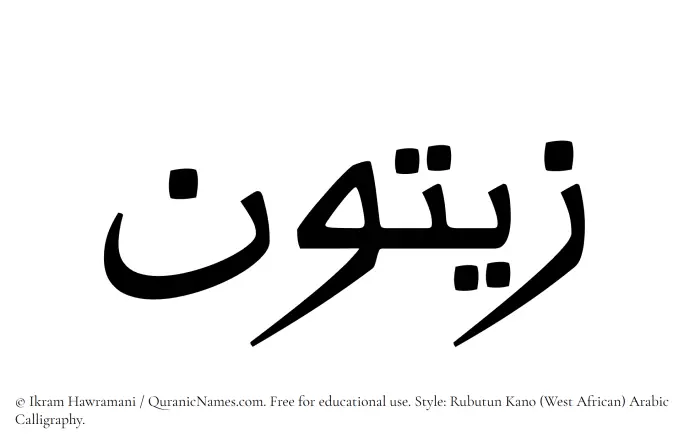 The Muslim name Zaitun written in Rubutun Kano calligraphic script