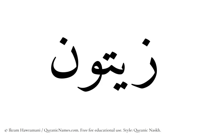 The Muslim name Zaitun written in Quranic naskh script
