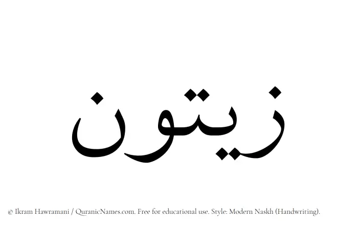 The Muslim name Zaitun written in naskh script