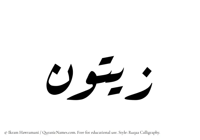The Muslim name Zaitun written in Ruqaa calligraphic script