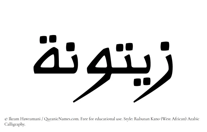 The Muslim name Zaituna written in Rubutun Kano calligraphic script