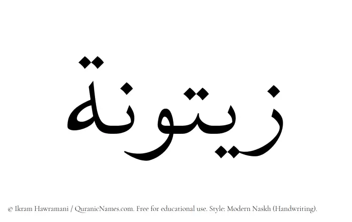 The Muslim name Zaituna written in naskh script
