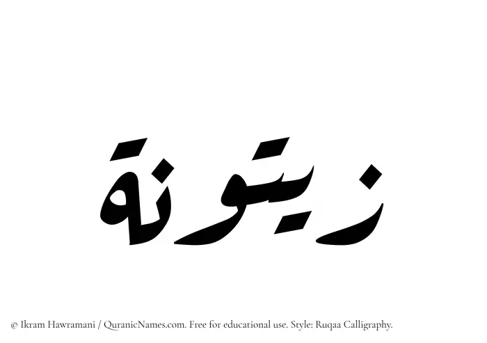 The Muslim name Zaituna written in Ruqaa calligraphic script