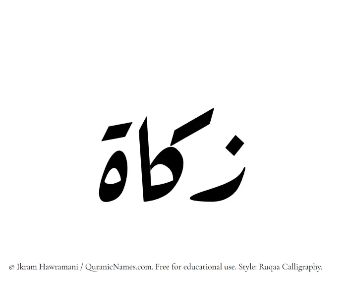 The Muslim name Zakat written in Ruqaa calligraphic script