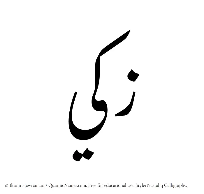 The Muslim name word Zaki written in Nastaliq calligraphic script