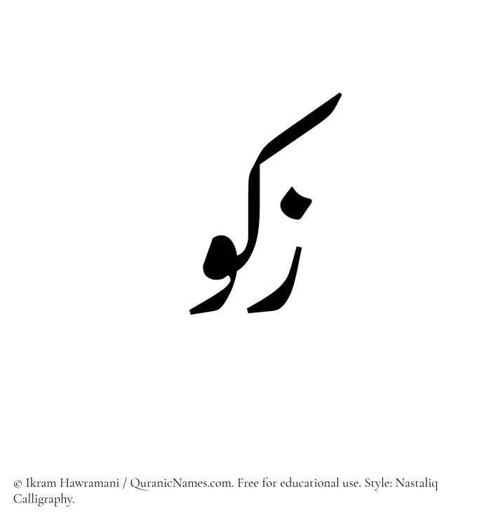 The Muslim name word Zakou written in Nastaliq calligraphic script