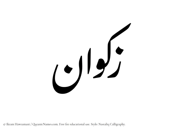 The Muslim name word Zakwan written in Nastaliq calligraphic script