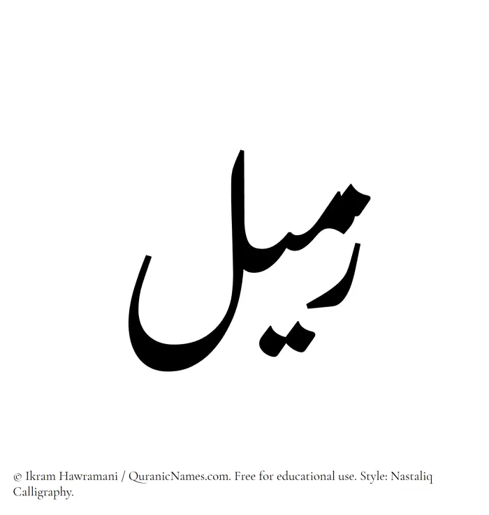 The Muslim name word Zameel written in Nastaliq calligraphic script