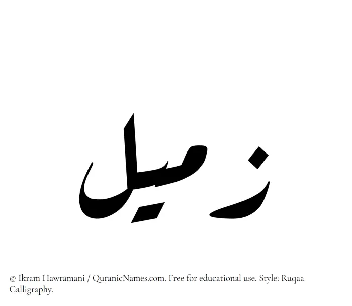 The Muslim name Zameel written in Ruqaa calligraphic script