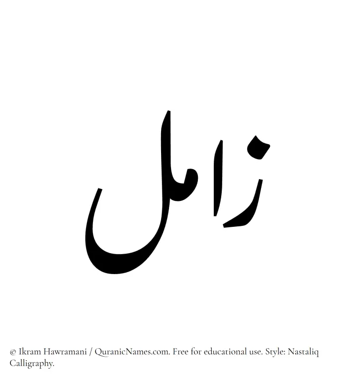 The Muslim name word Zamil written in Nastaliq calligraphic script