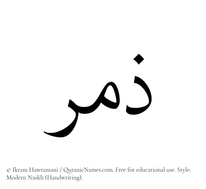 The Muslim name Zamr written in naskh script