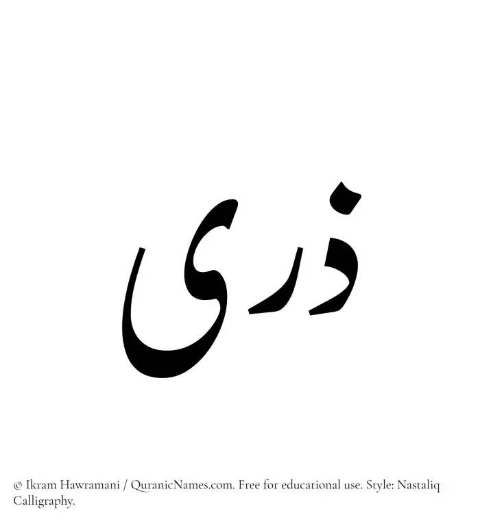 The Muslim name word Zara written in Nastaliq calligraphic script