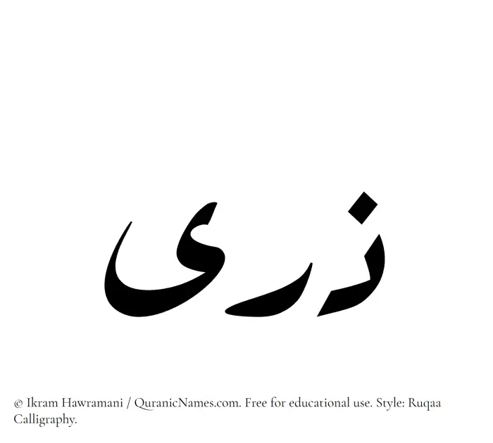 The Muslim name Zara written in Ruqaa calligraphic script