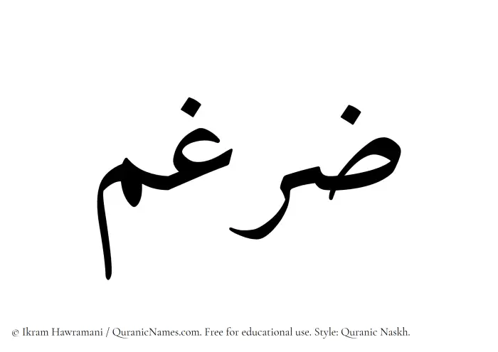 The Muslim name Zargham written in Quranic naskh script