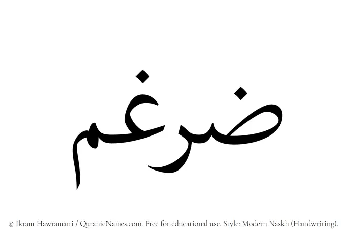 The Muslim name Zargham written in naskh script