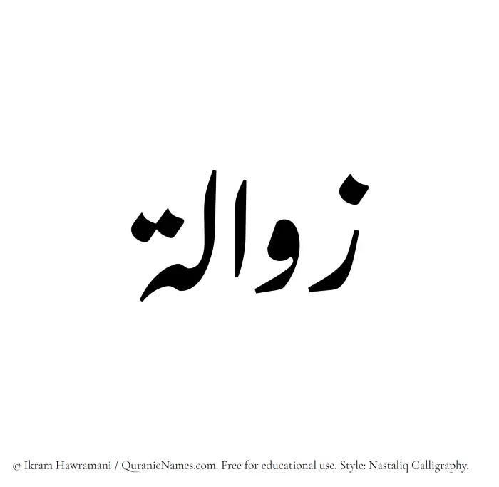 The Muslim name word Zawala written in Nastaliq calligraphic script