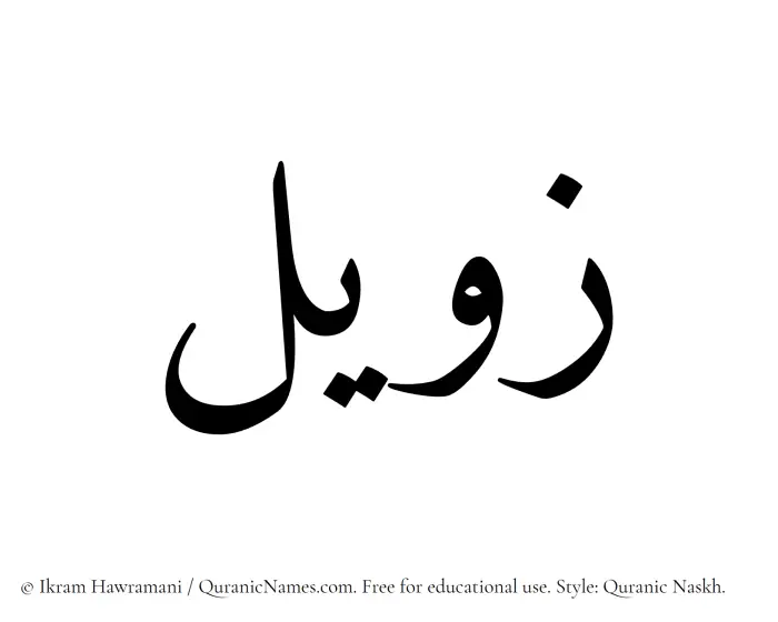 The Muslim name Zaweel written in Quranic naskh script